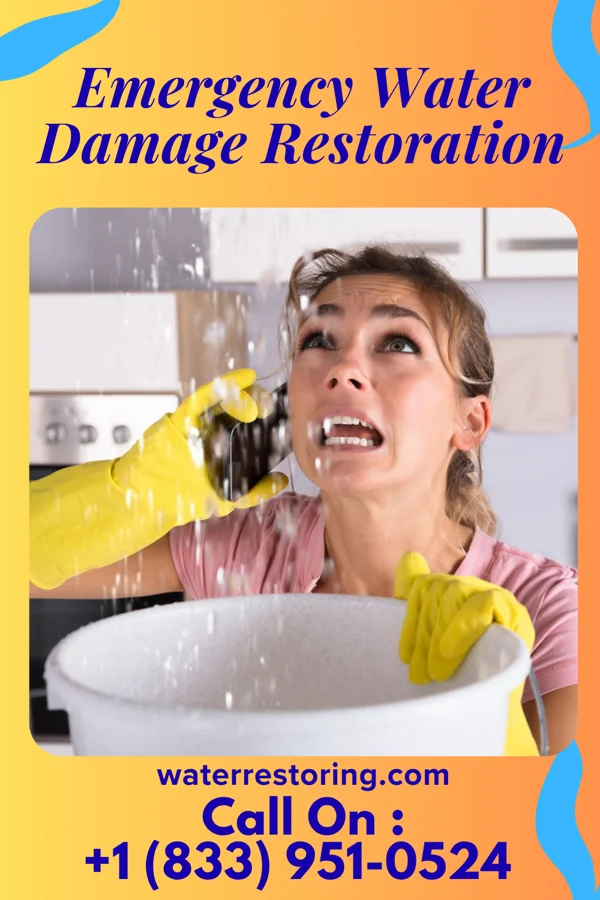 Emergency Water Damage Restoration in Flensburg, MN