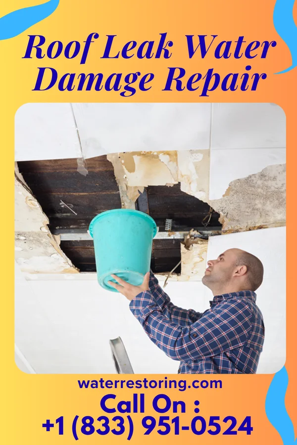 Roof Leak Water Damage Repair in Flensburg, MN